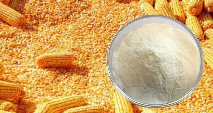 Corn Peptide