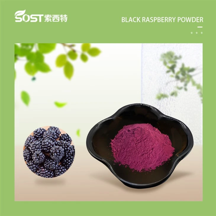 Black Raspberry Powder-1