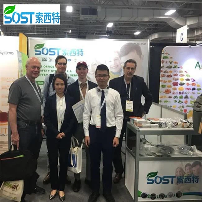 Corn Peptide Powder