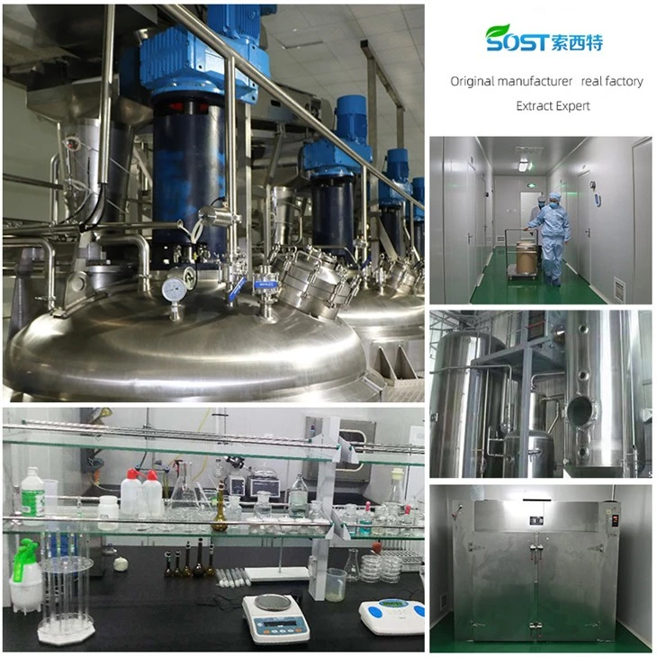 Mung Bean Extract Powder