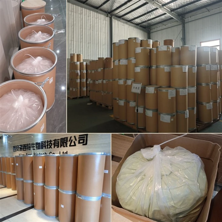 Acer Truncatum Seed Oil factory